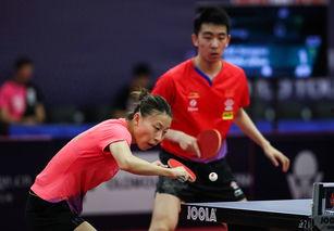 马特乒乓爆料视频大全,揭秘乒乓球界的精彩瞬间与幕后故事 第3张 马特乒乓爆料视频大全,揭秘乒乓球界的精彩瞬间与幕后故事 第3张